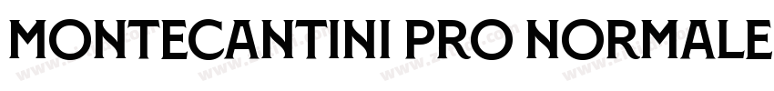 Montecantini Pro Normale Bold字体转换